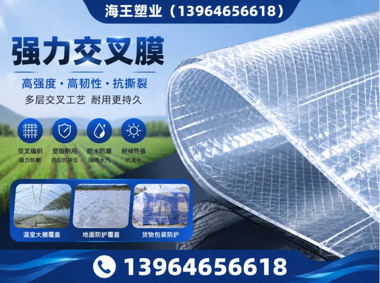 潍坊滨海经济技术开发区PET离型膜展示图